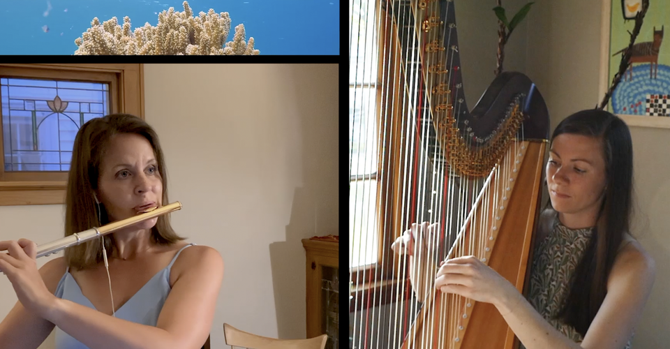 DMSO at Home: Erin Brooker-Miller's Algues, Part 1