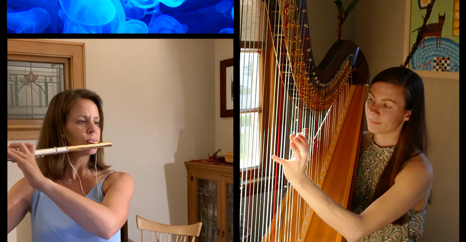 DMSO at Home: Erin Brooker-Miller's Algues, Part 2