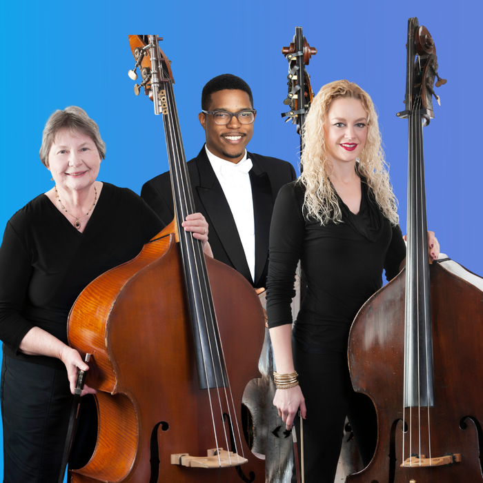 DMSO at Home Family Concert: All About the Bass