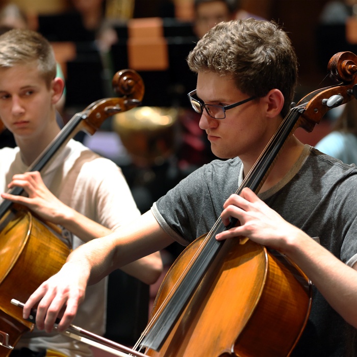 Youth Orchestras Fall Concert